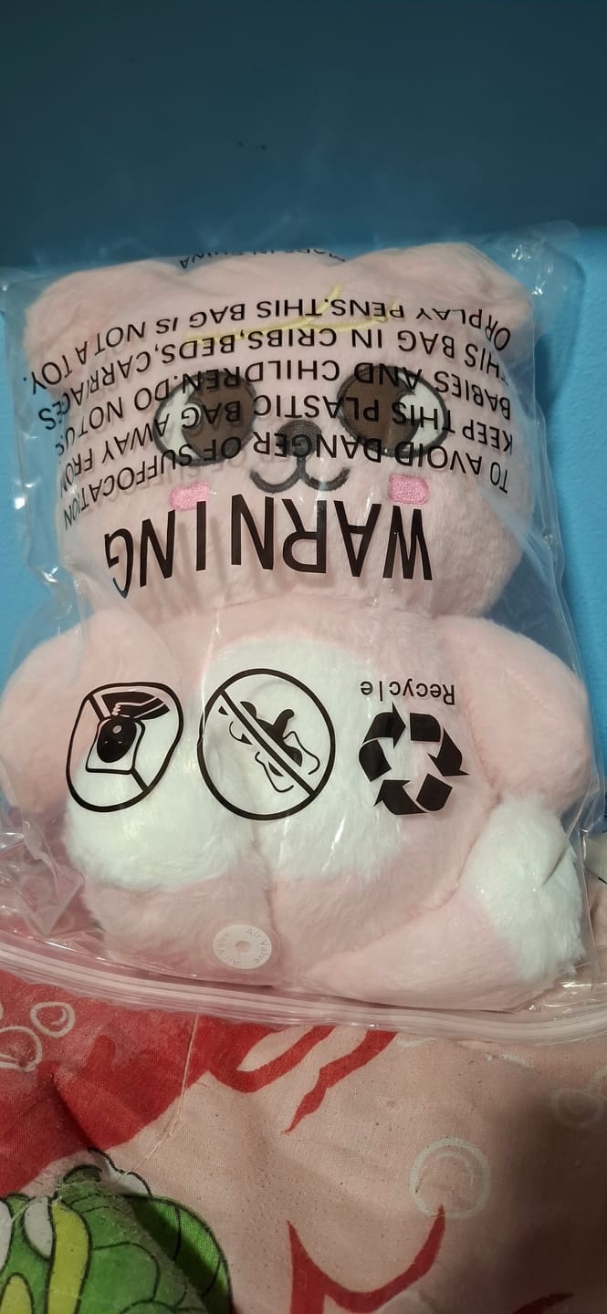 Customer photo review of SKZ Teddybear Plush