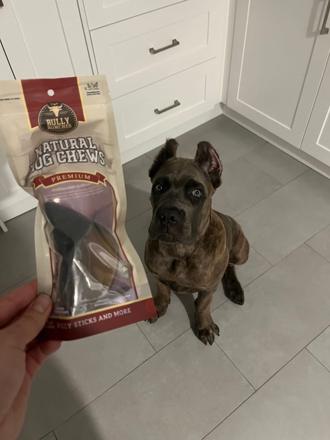 Customer photo review of Cow Hooves