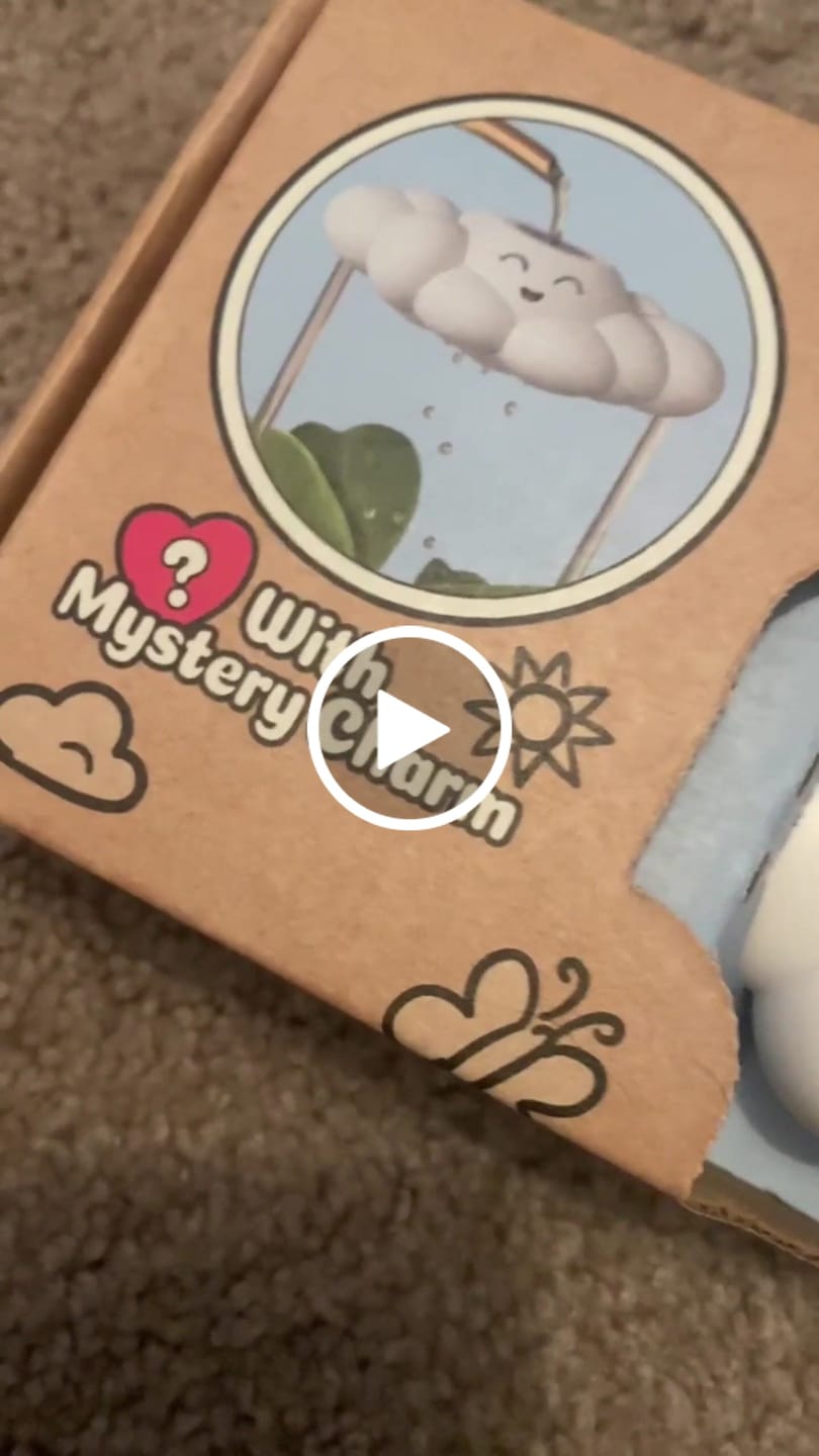 Customer video review of Chelsea Series 001