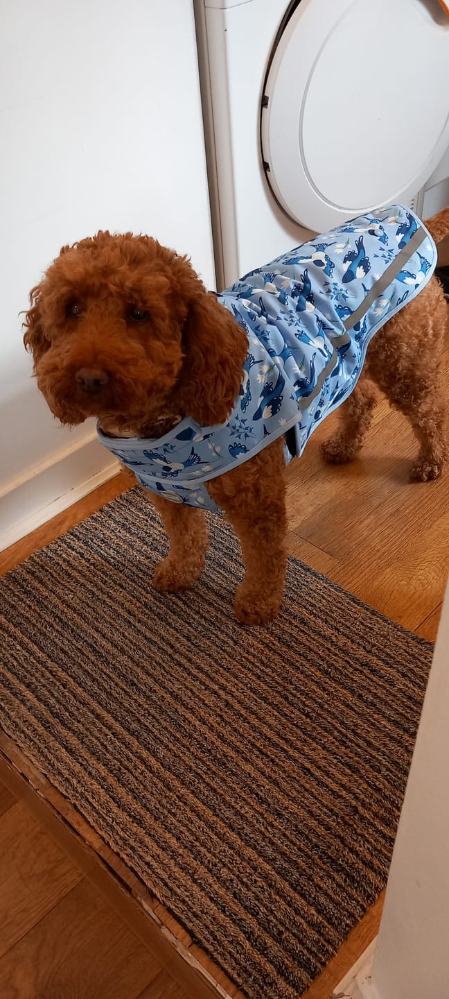 Customer photo review of Rain Jacket - Two For Joy