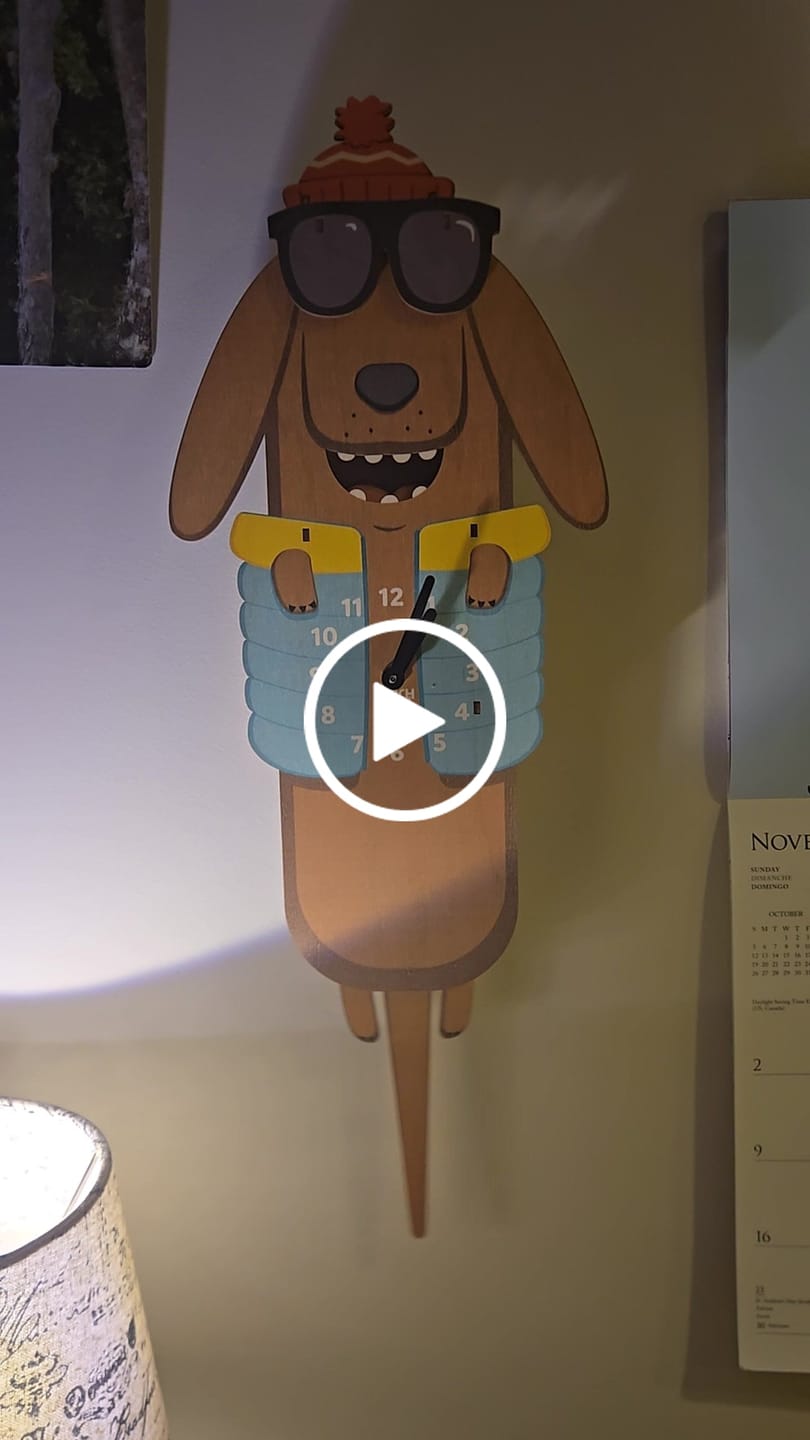 Customer video review of Sunglasses