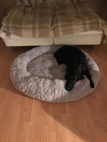 Customer photo review of CalmBed - Motverkar stress & hjälper mot ångest