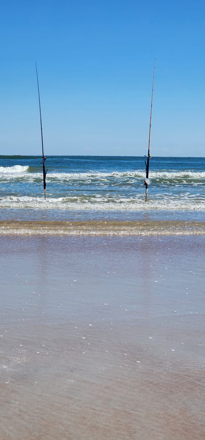 Customer photo review of Seatech Surf Rod