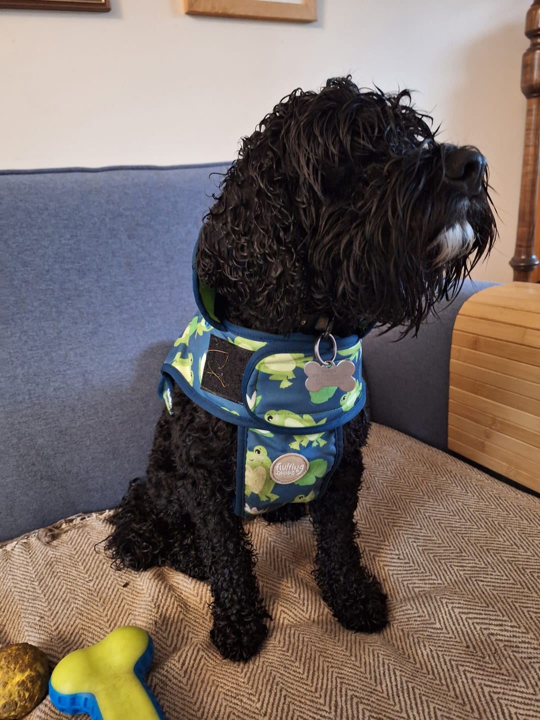 Customer photo review of Rain Jacket - Frogging Fabulous