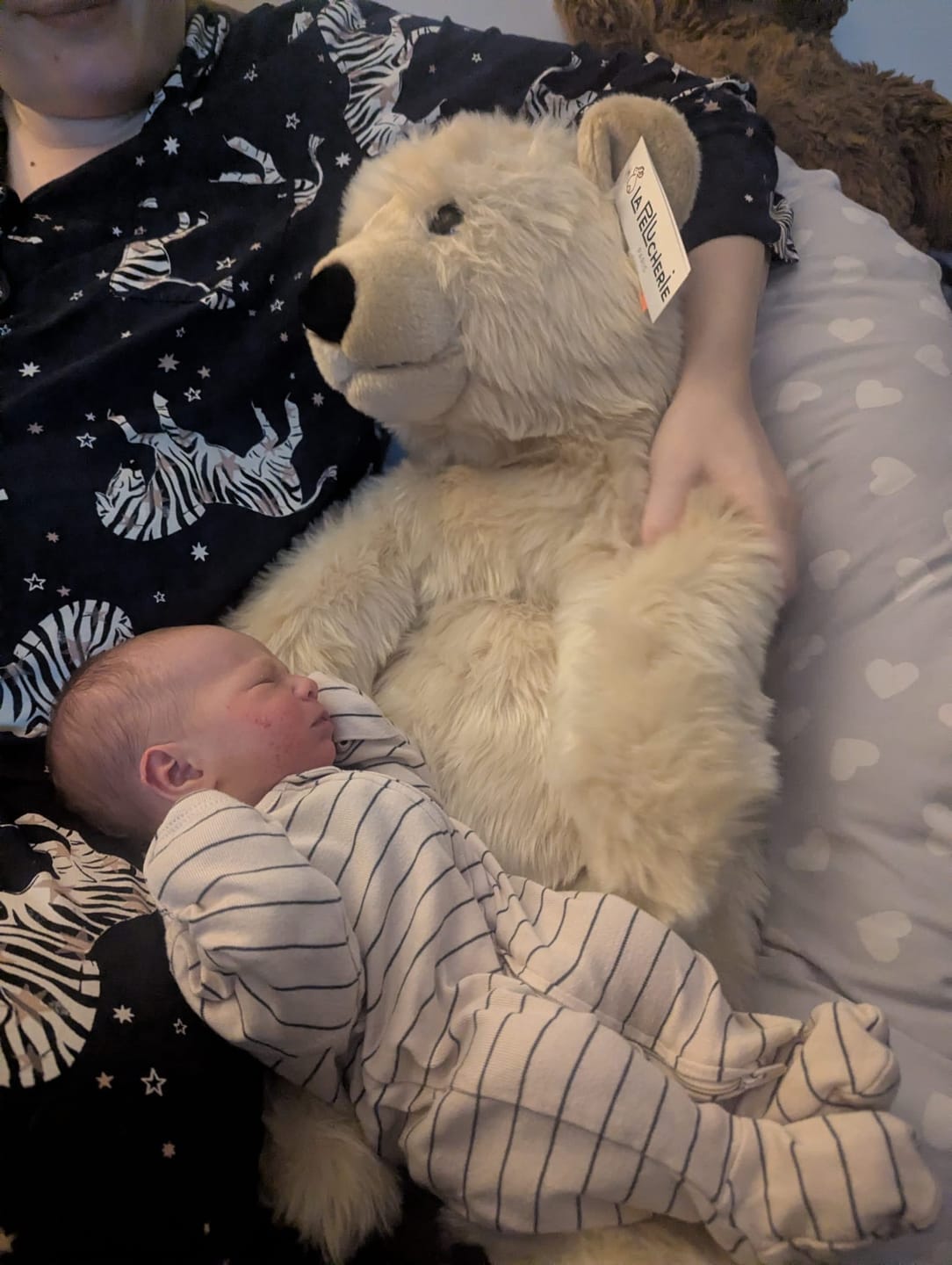 Customer photo review of Ma peluche Ours Jules