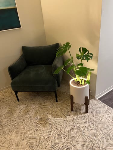 Customer photo review of Aura | Medium Round LED Planter