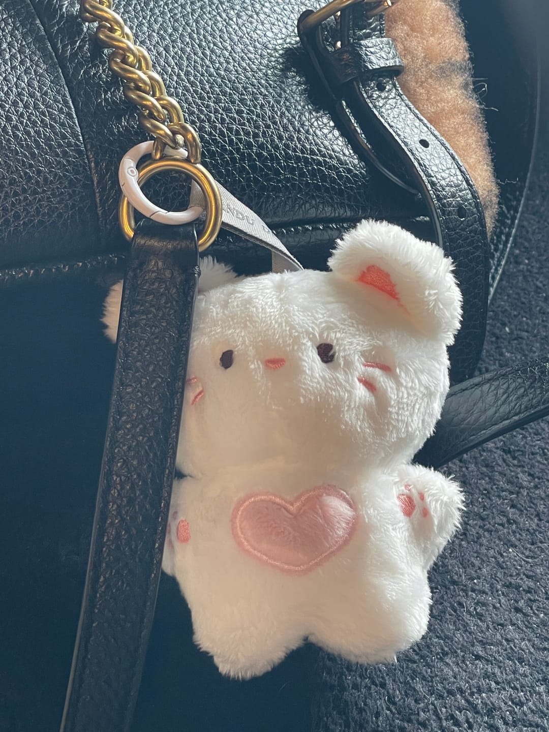 Customer photo review of MINI SKZOO 10CM PLUSH BLIND BOX