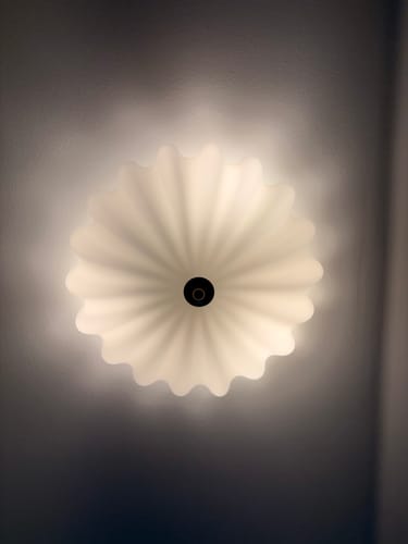 Customer photo review of Modern 3-Light Milky White Daisy Glass Semi-Flush Mount