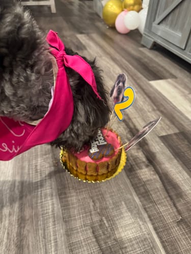 Customer photo review of Personalized Dog Party Pack