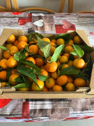 Cathy F. review of Clémentines Bio - Origine Corse image 1 out of 1