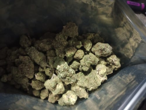 Customer photo review of Cheap THCA Flower Half Pound