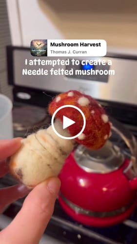Customer video review of Sophie Wheatley's Felted Fungi Supplies Box