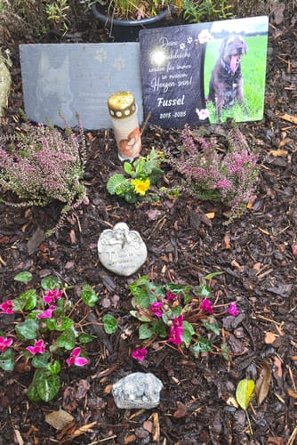 Customer photo review of Hunde Gedenktafel mit Foto & Spruch (UV- &  Wetterfest)