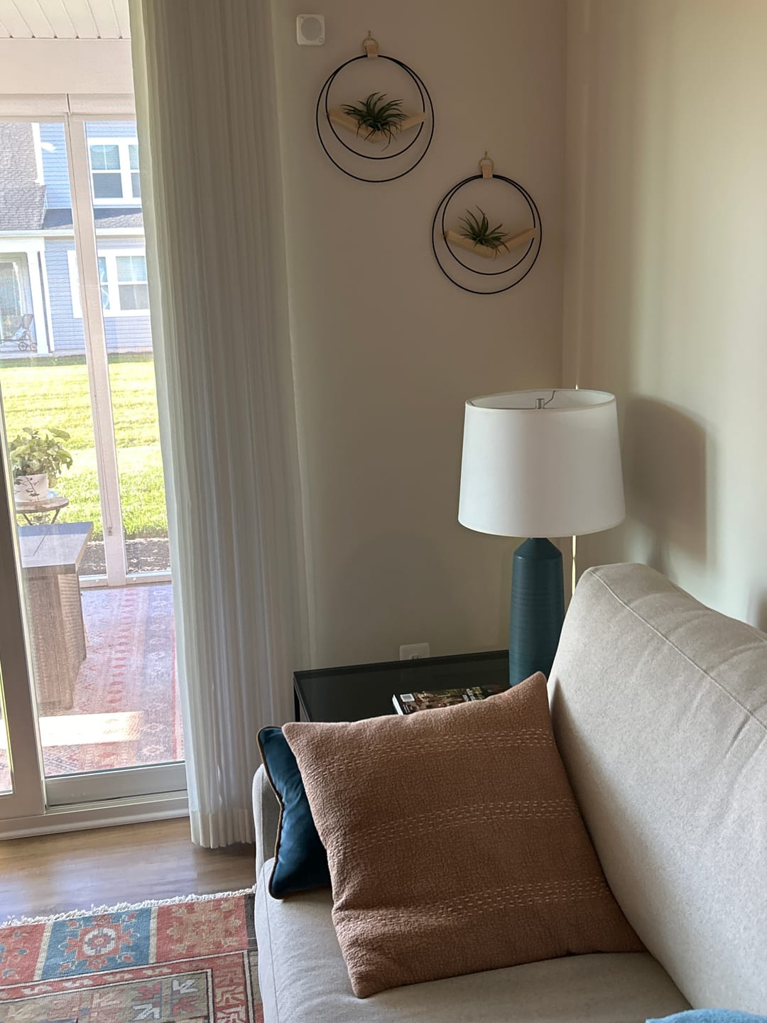 Customer photo review of Air Plant V-Hanger Duo