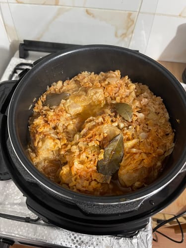 Customer photo review of Multicooker Novio EasyCook