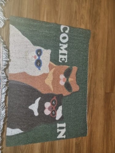Customer photo review of “Come In” Non-slip Doormat