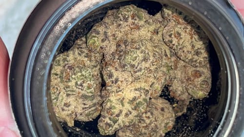 Customer photo review of Purple Cream | THCA Flower