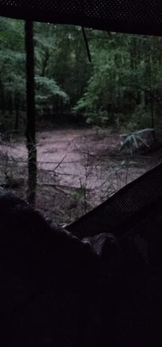 Customer photo review of FLASH SALE 270° See Through 1-2 Person Hunting Blind, Pop Up Ground Deer Blind