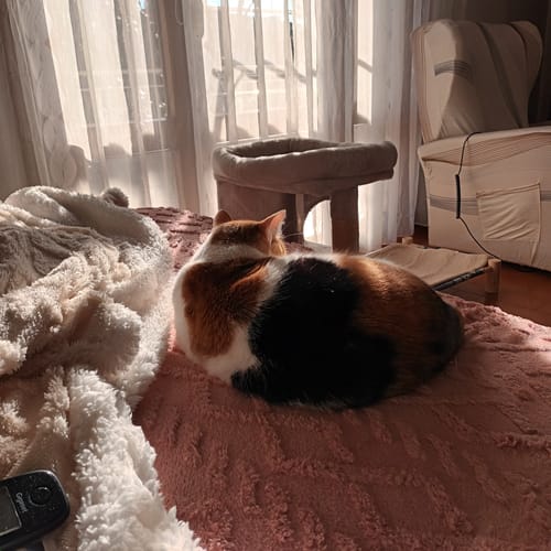 Ana C. review of 3x Ricarica Diffusore (48 ml) image 1 out of 1