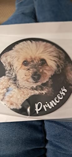 Customer photo review of Your photo - Personalized Car Magnet