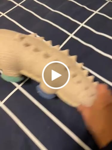 Customer video review of The Crocodile