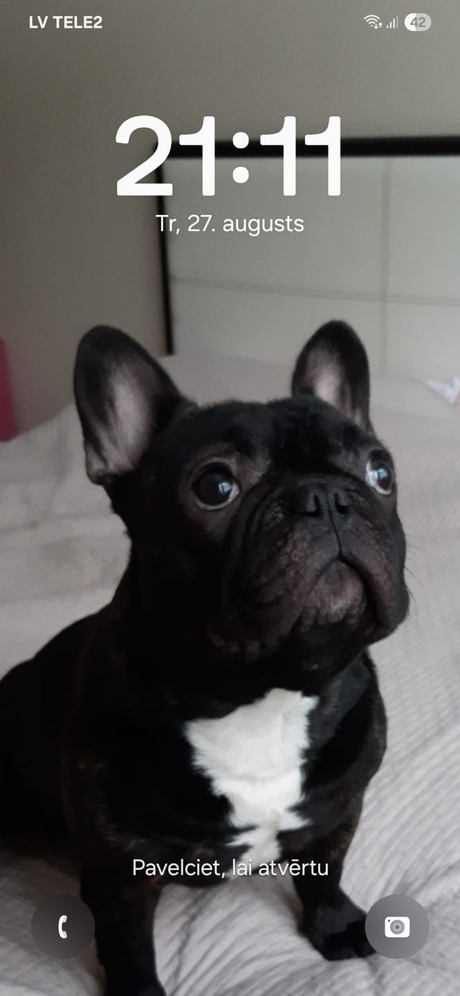 Customer photo review of Active VetDiet Dermo suņiem