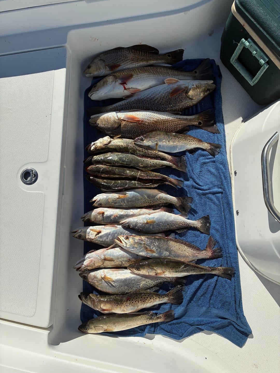 Customer photo review of Coastal Brew Deceiver Lures