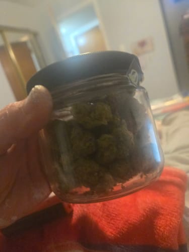Customer photo review of Gorilla Glue THCA Flower