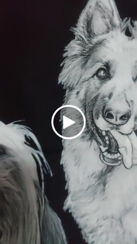 Customer video review of Tote Bag Personalizada Mascota