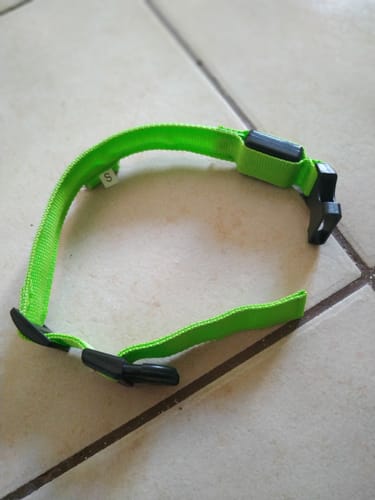 Customer photo review of Világító LED Kutya Nyakörv
