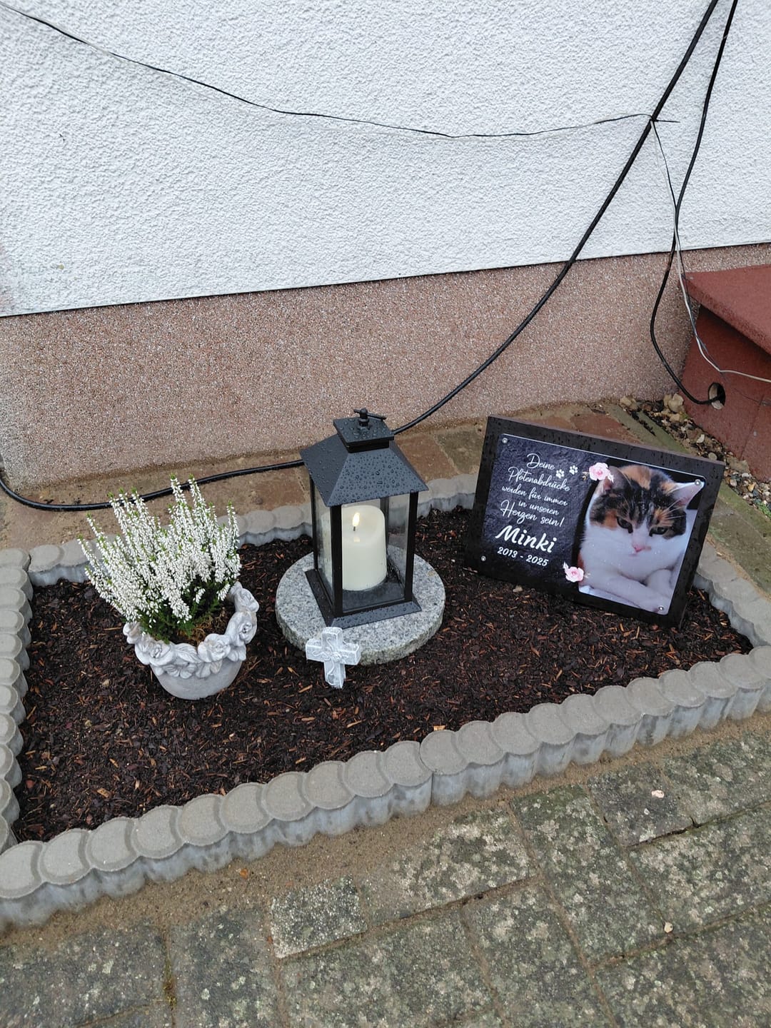 Customer photo review of Katzen Gedenktafel mit Foto & Spruch (UV- & Wetterfest)