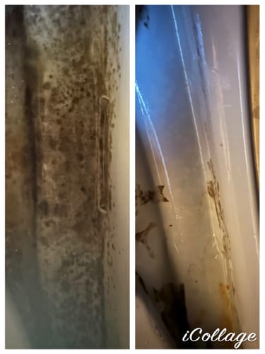 Customer photo review of GLASSGUARD® Miracle Mould Removal Gel