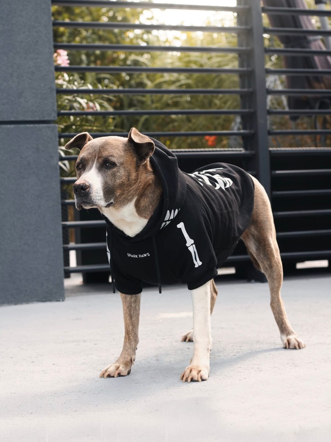 Customer photo review of Halloween Dog Hoodie - Skeleton