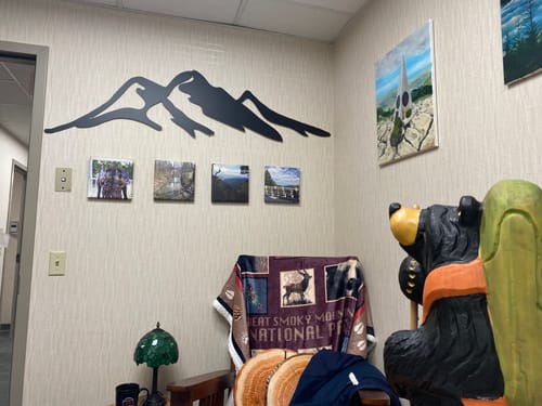 Customer photo review of Great Smoky Mountains - Metal Wall Art