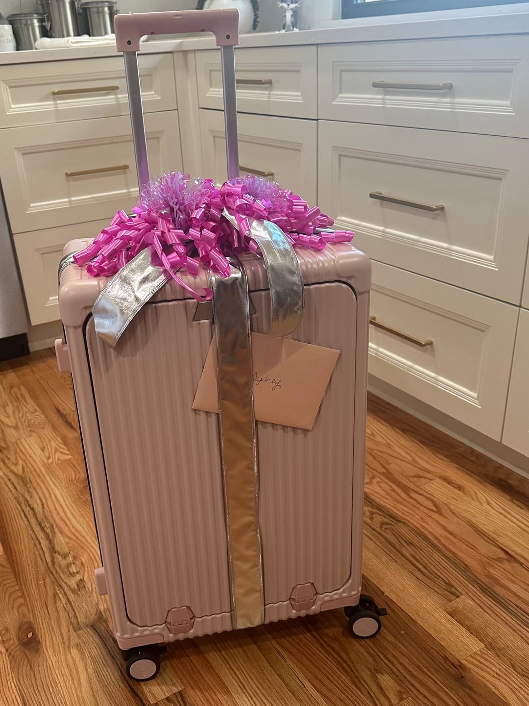 Customer photo review of Check-In Medium: All-In-One 24"