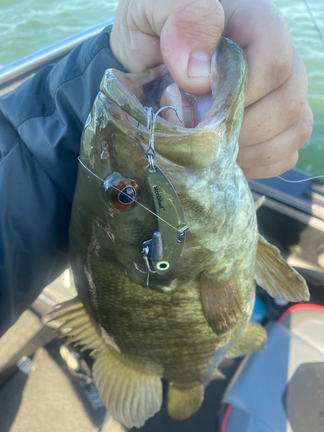 Customer photo review of SteelShad Original Blade Bait