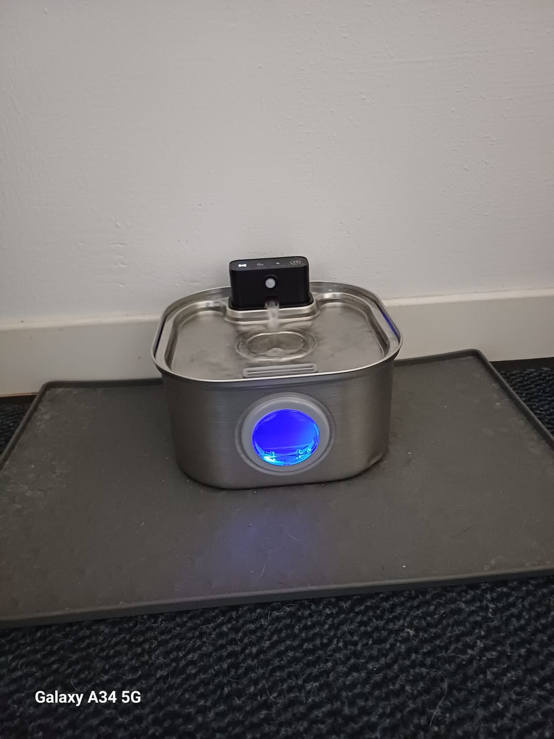 Customer photo review of PfotenBrunnen™ - Der automatische Katzenwasserspender