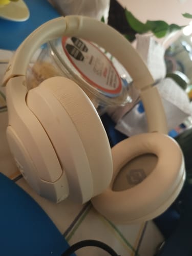 Customer photo review of Pulse ANC 1Gen