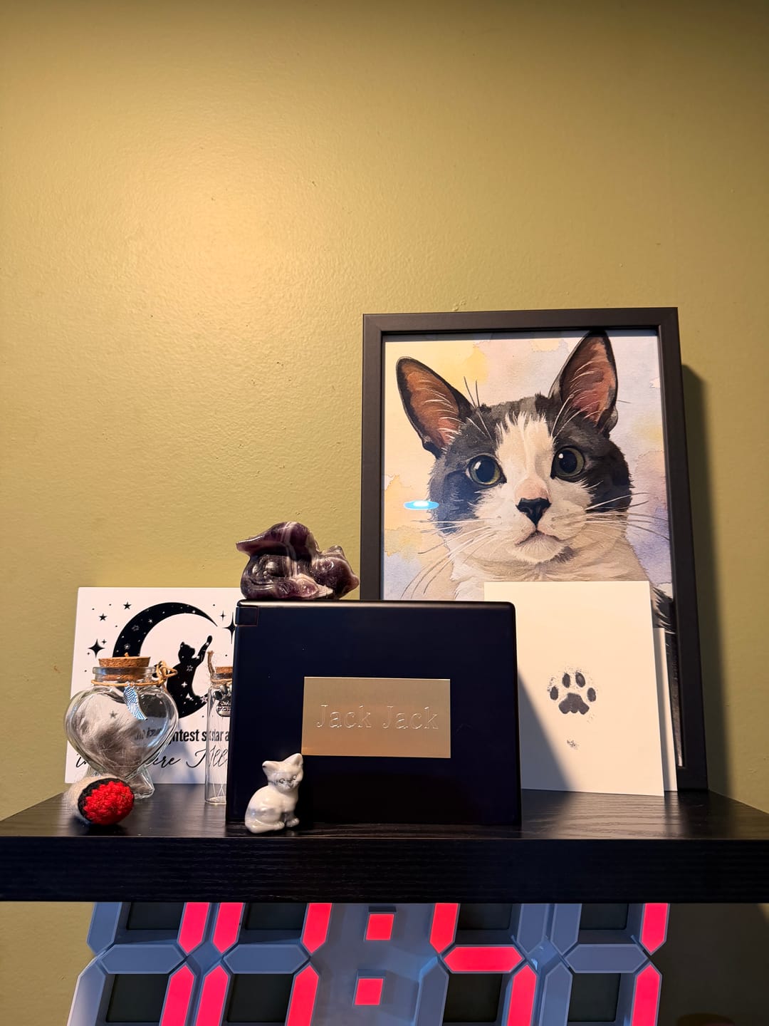 Customer photo review of Upload Your Pet’s Photo → Get Instant Watercolor Memorial Portrait Preview | Custom Framed Poster Pet Loss Tribute