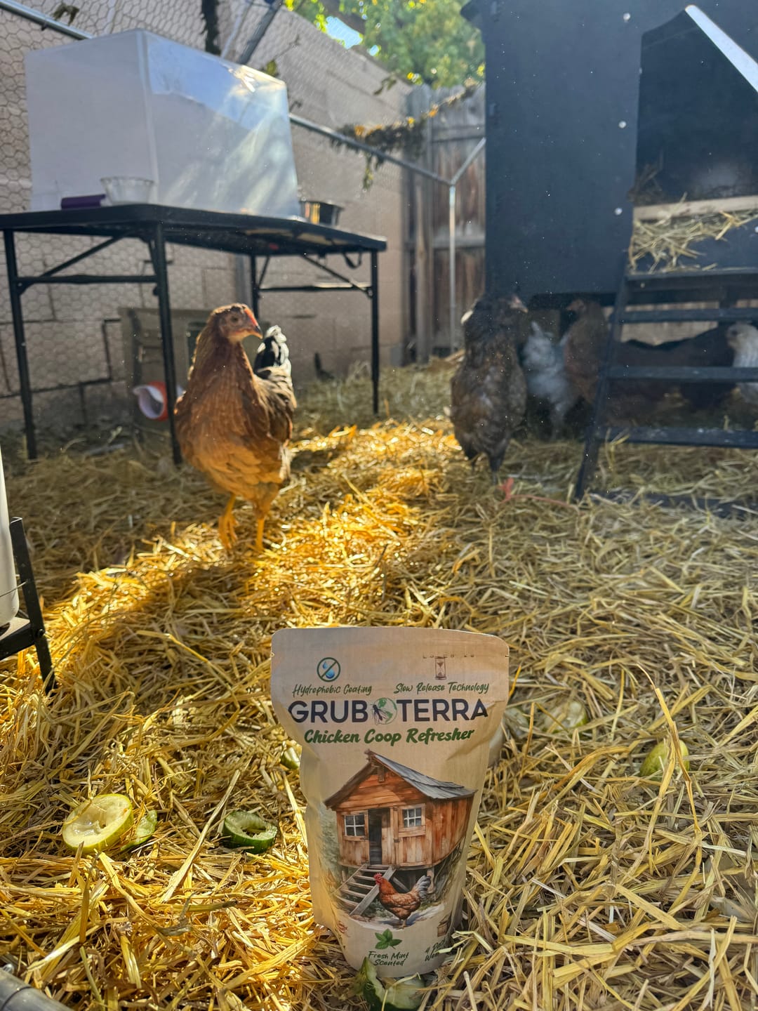 Hens in fresh straw next to a bag of Coop Refresher