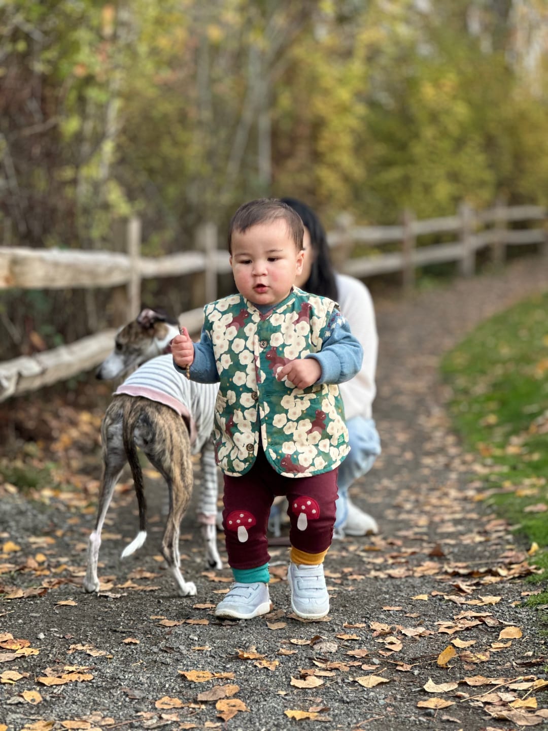 Customer photo review of Toadstool Knee Patch Joggers