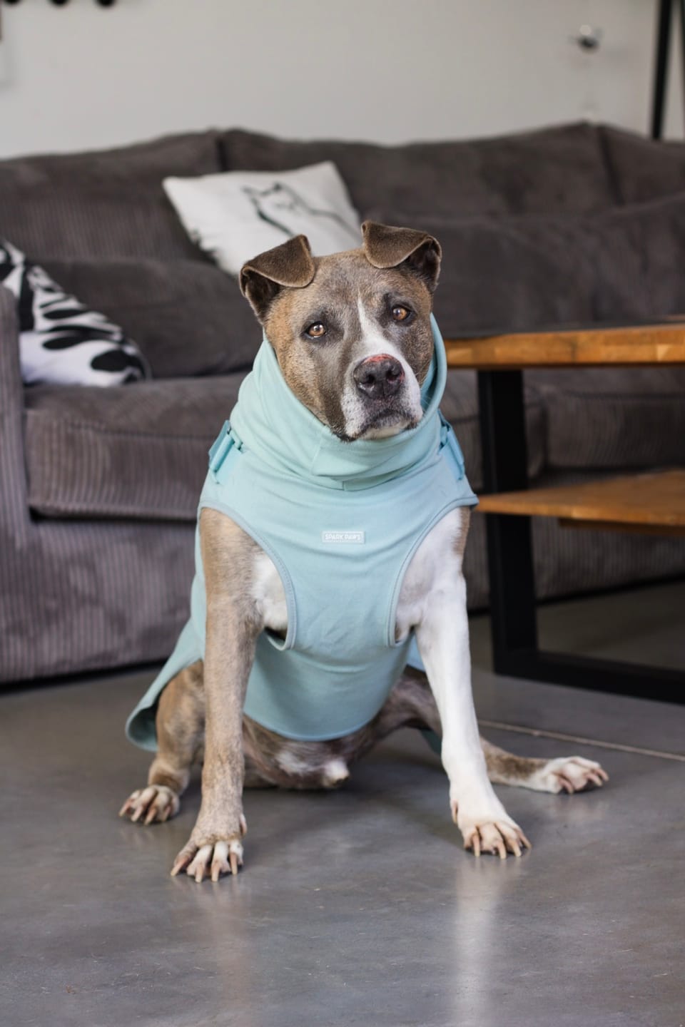 Customer photo review of Anxiety Calming Suit - Teal