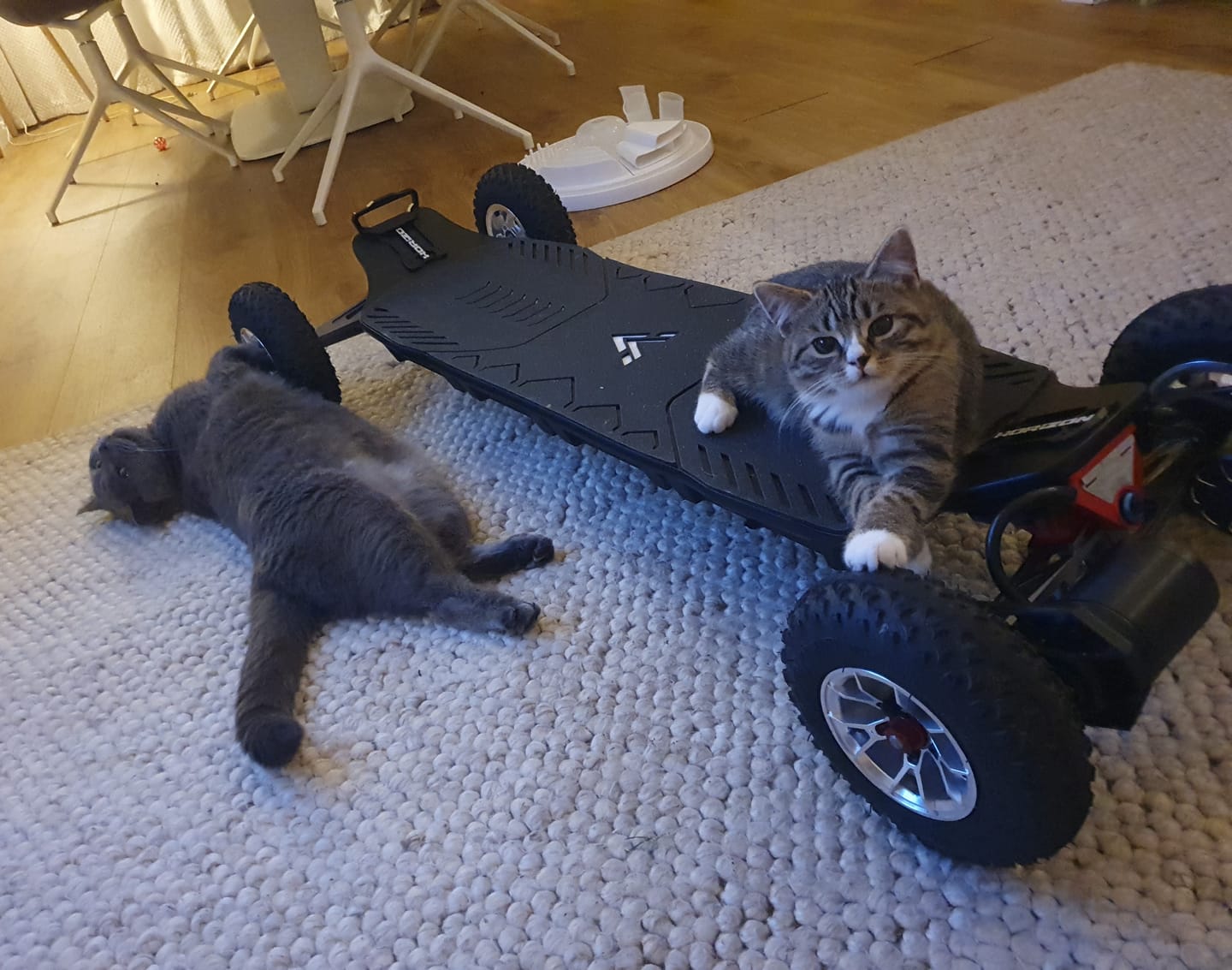 Customer photo review of Acedeck® Horizon Electric Skateboard-Limited-Quantity Offer!