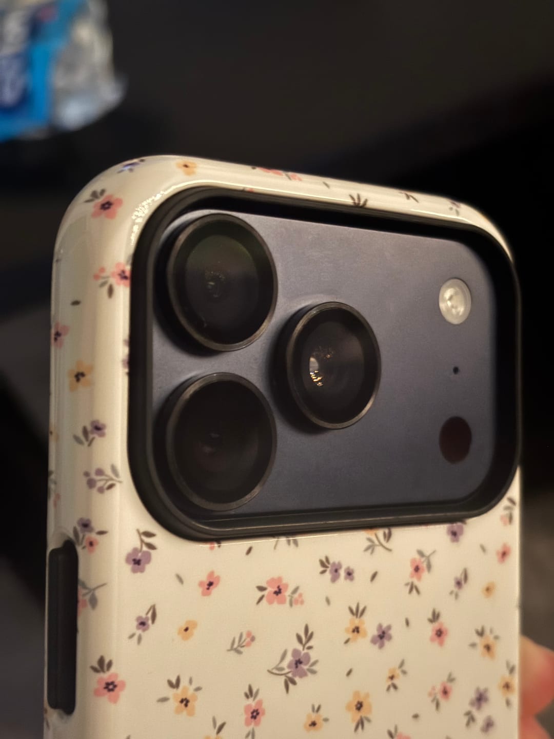 Customer photo review of Camera lens protector