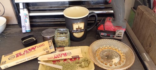 Customer photo review of Sherbet & Haze Littles - Bulk Littles - Sativa