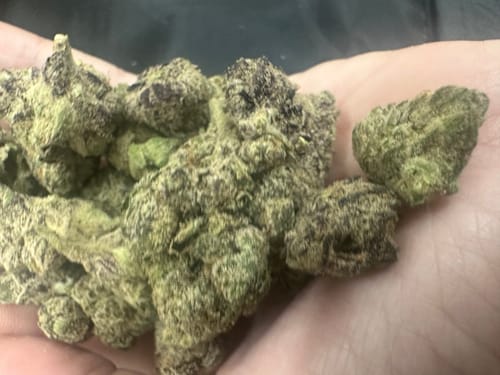 Customer photo review of Biscotti Flower