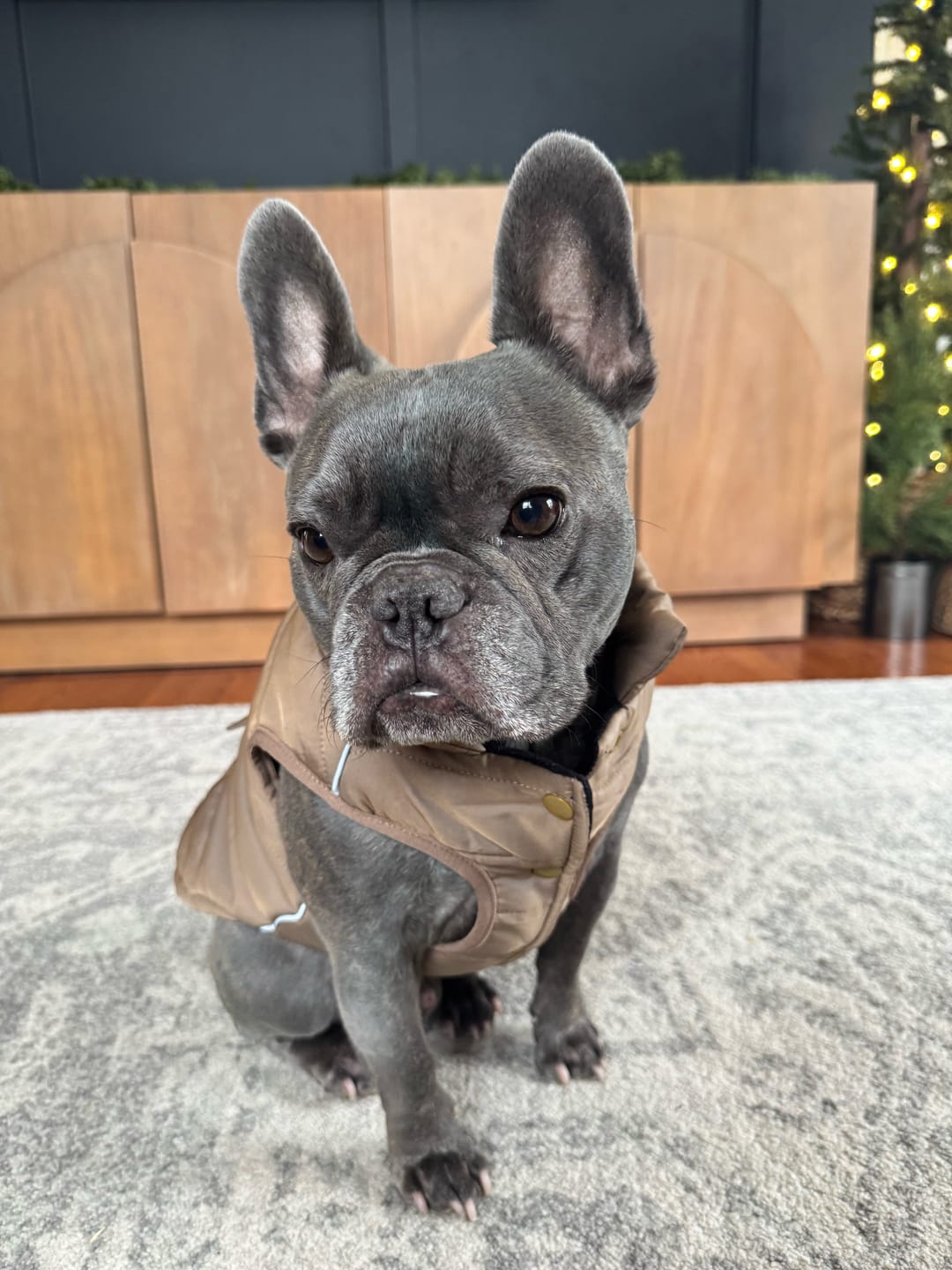 Customer photo review of WarmShield Water-Resistant Jacket - Tan