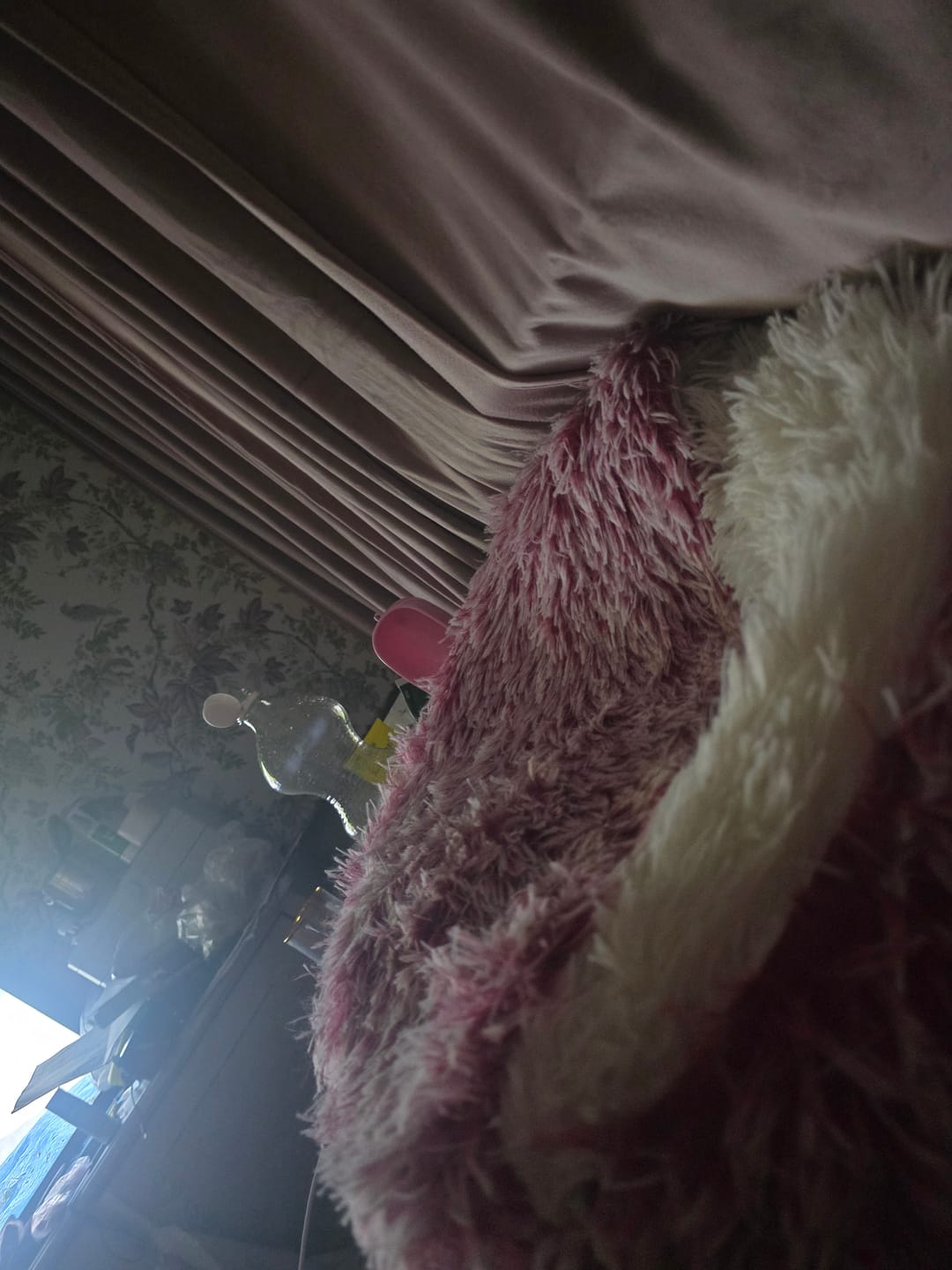 Customer photo review of CozyCave™ luolapeti koiralle