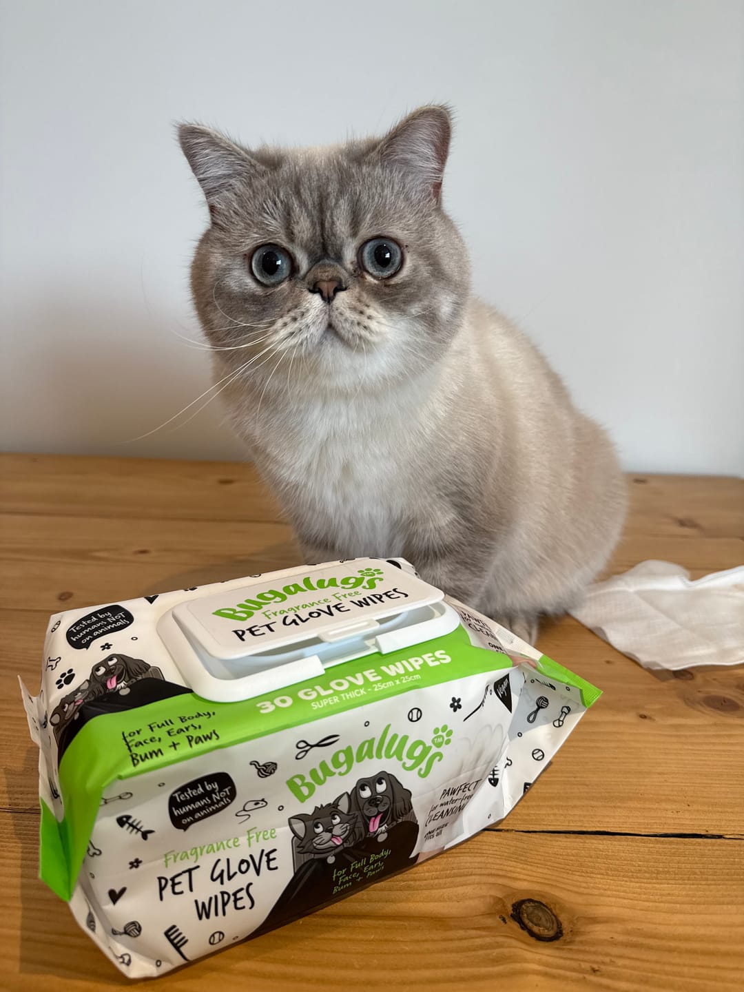 Customer photo review of Glove Pet Wipes for Full Body, Bum & Paws