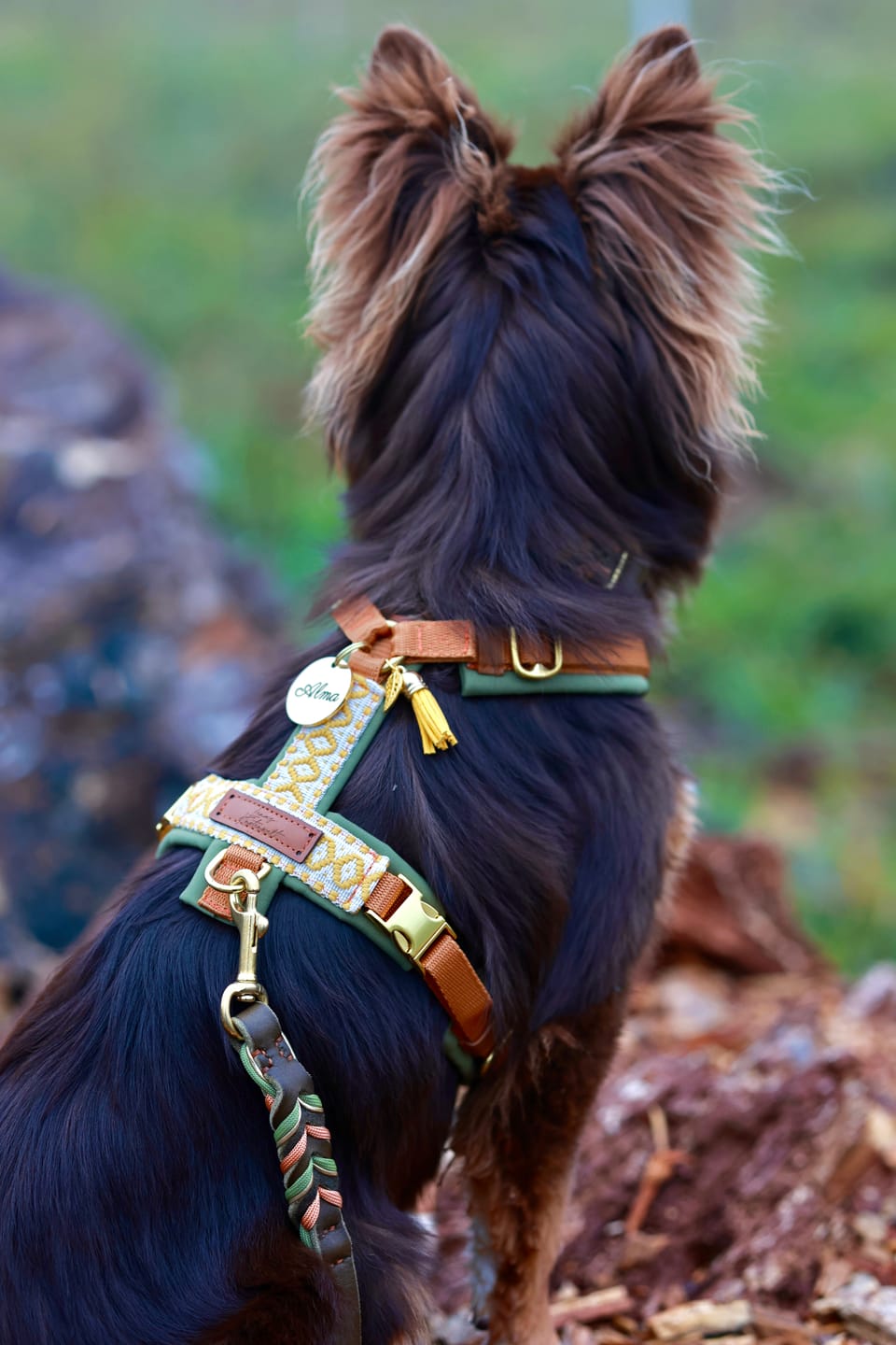 Customer photo review of Hundemarke mit Gravur, Name und Telefon personalisiert, rund, 25mm oder 30mm in verschiedenen Farben
